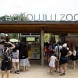 【ハワイ】大人も子どもも楽しめる！自然豊かなハワイ・ホノルル動物園（Honolulu Zoo）