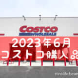 【2023年6月コストコ購入品】バターパウンドケーキや花王フェア日用品を買ってきた